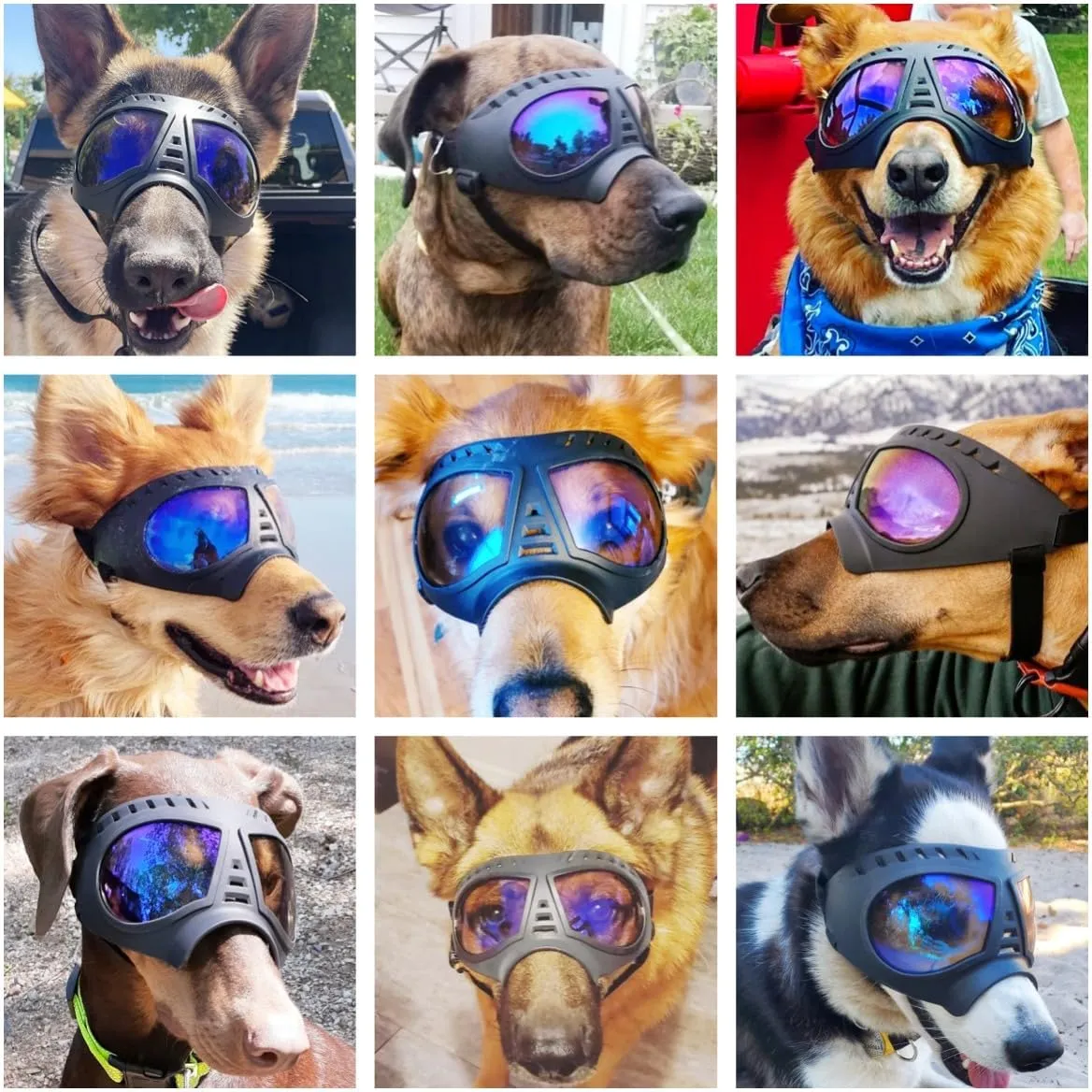 Transparent Dog Glasses