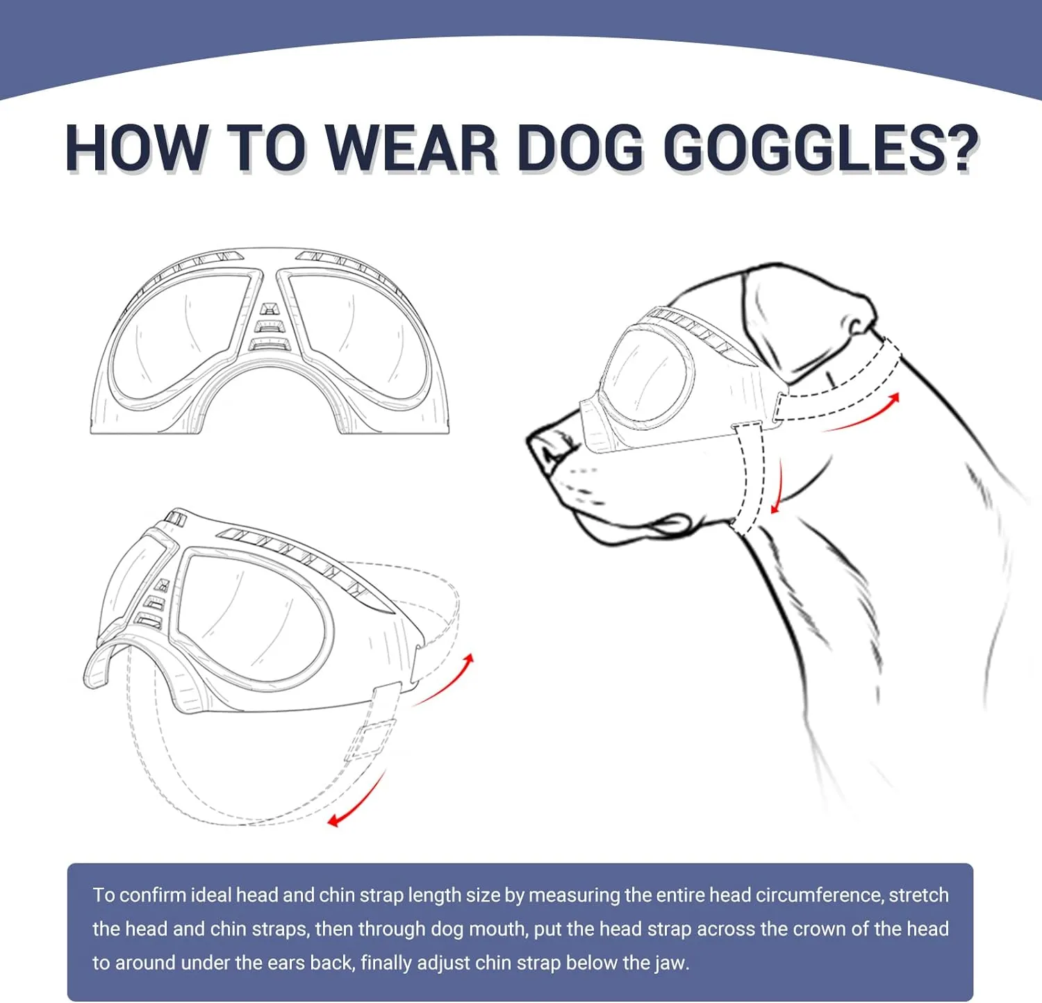 Transparent Dog Glasses