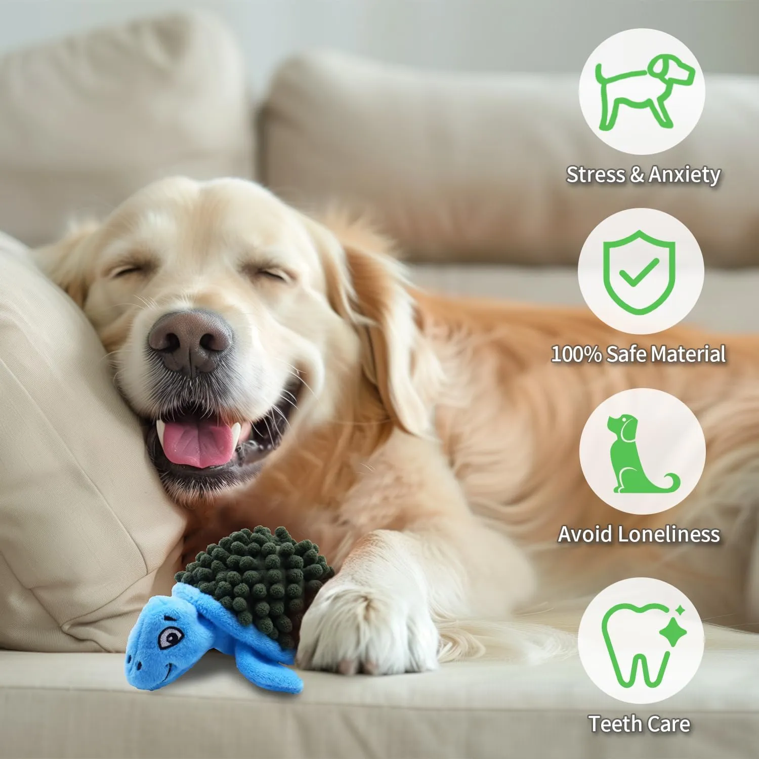 Turtle Small Dog Squeaky Toys with Ball - Loud 2-in-1 Plush Interactive Toy, BPA-Free Rubber Core, Non-Toxic Chew Toy for Teeth Cleaning, Ideal for Small and Medium Breeds