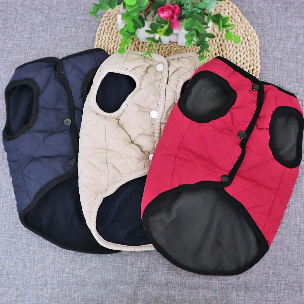 Winter Jacket for Dogs and Cats