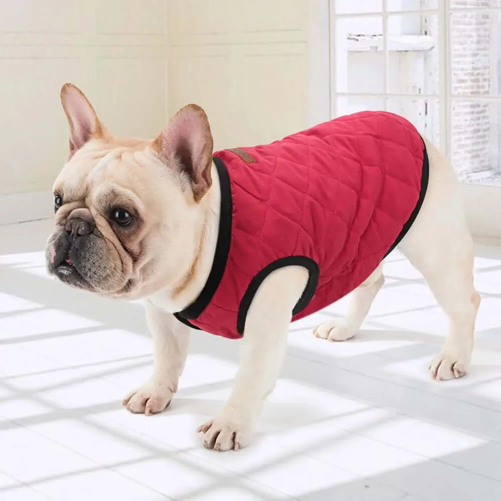 Winter Jacket for Dogs and Cats