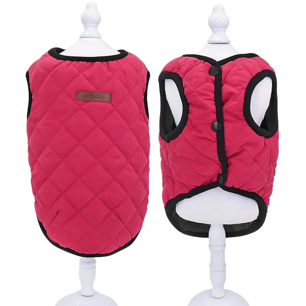 Winter Jacket for Dogs and Cats
