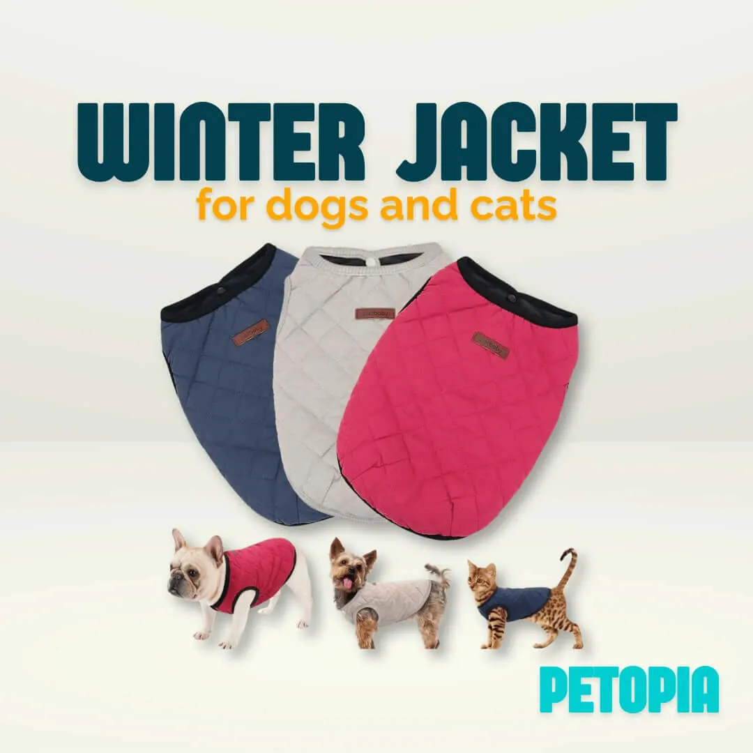 Winter Jacket for Dogs and Cats